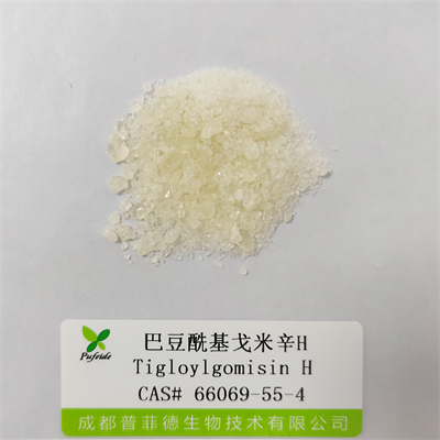 巴豆?；昝仔罤|66069-55-4